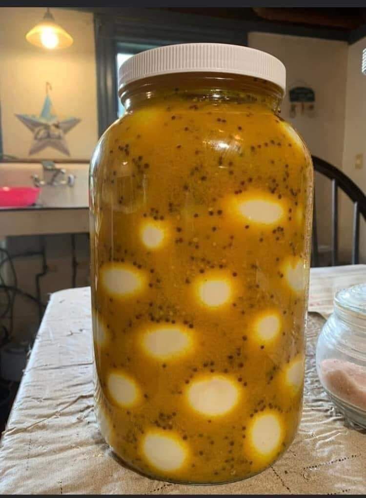 Mustard pickled eggs recipes