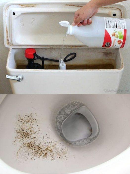 Why pouring vinegar into your toilet tank is the best trick to add to your routine